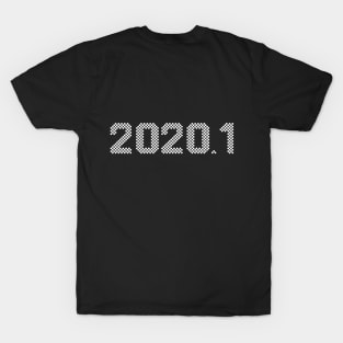 2020.1 holed T-Shirt